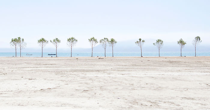 Subjective Landscapes