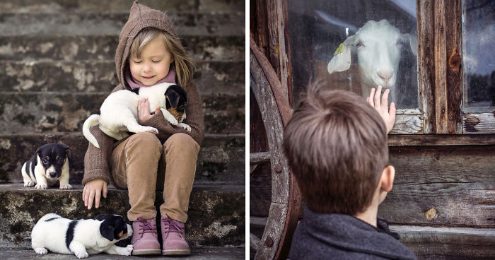 The Friendship Between Children And Animals
