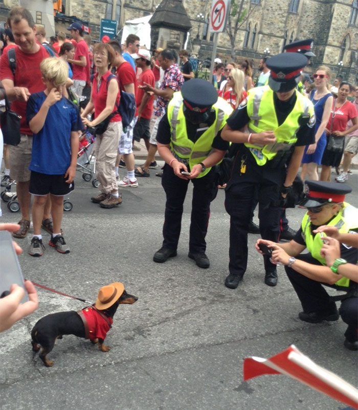 Canadian Police On The Job