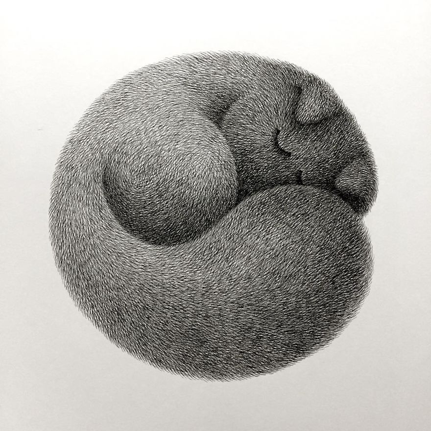 Malaysian Artist Creates Fluffy Cats Using Just Ink And The Result Looks Hauntingly Beautiful