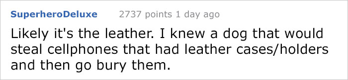 Guy Gets Too Close To Wild Fox While Snapchatting It, And Now He Wishes He Hadn't