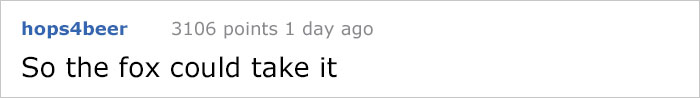 Guy Gets Too Close To Wild Fox While Snapchatting It, And Now He Wishes He Hadn't Guy Gets Too Close To Wild Fox While Snapchatting It, And Now He Wishes He Hadn't