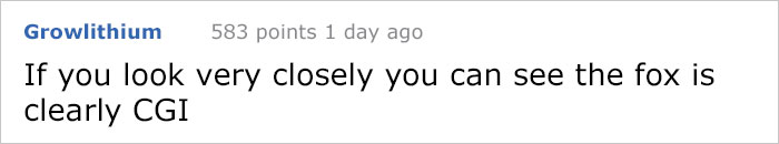 Guy Gets Too Close To Wild Fox While Snapchatting It, And Now He Wishes He Hadn't