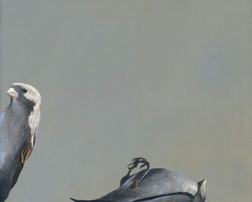 I Will Put You Down As A Soft Maybe