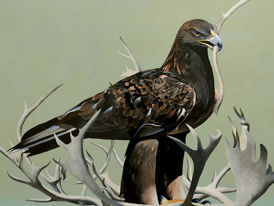 The Exhibition Of Unnatural Instincts Amidst The Death Throes Of Democracy