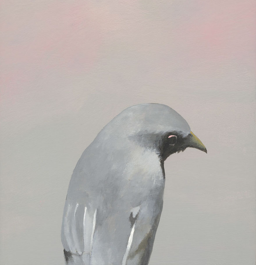 When I Was Invited Back To His Place, I Thought It Was For More Than A Tour Of His For-Profit Ferret Hospice