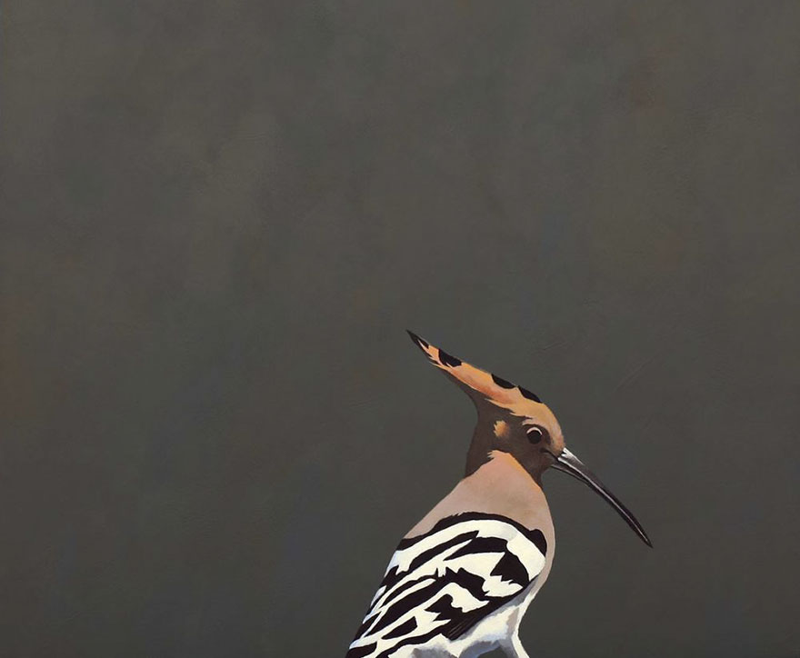 Witness To Melancholy Spectacles In The Land Of The Rise Of Man