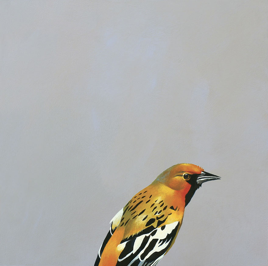 They Say You Should Never Meet Your Heroes, Yet Here I Am At Half Past Four In The Morning, Holding A Taser And Zip Tie Handcuffs