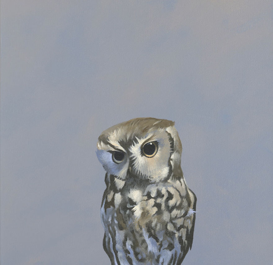 An Unexpected And Extremely Heated Argument With Her Amazon Echo Regarding Flushable Wet Wipes Had Left Her Shaken And Unnerved