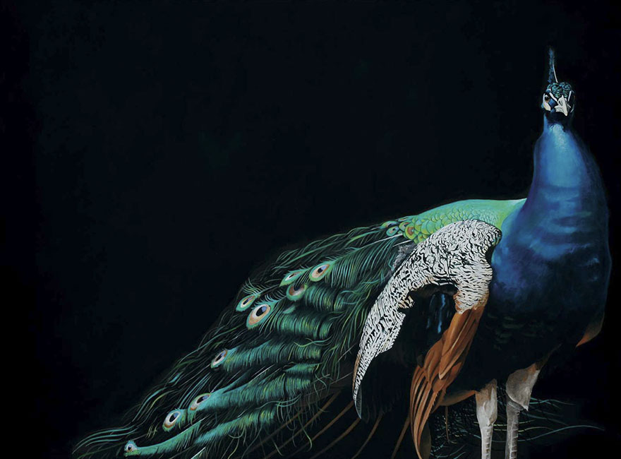 Overdressed And Underappreciated