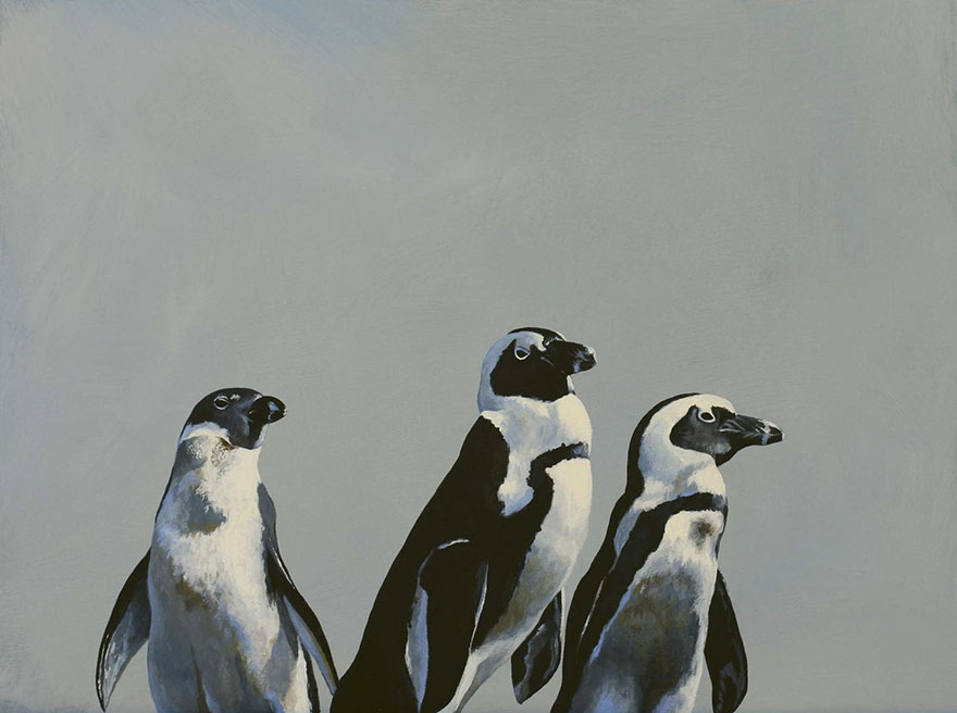 Being Digested Within Toothed Whales Is For Suckers