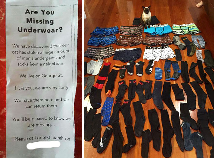 Are You Missing Underwear?