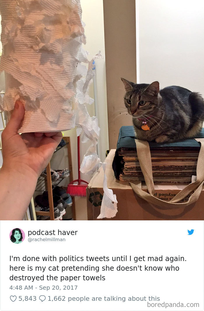 I Have No Idea What You're Talking About