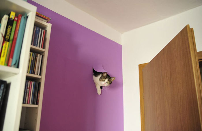 Excuse Me Sir, Do You Have A Moment To Talk About Jesus Christ?