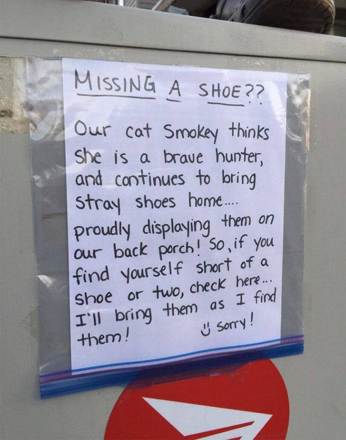 This Cat In My Neighbourhood