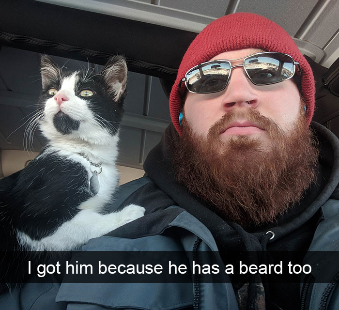 Funny-Cats-Photos-Snapchats