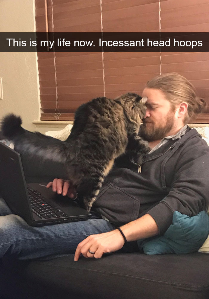 Funny-Cats-Photos-Snapchats