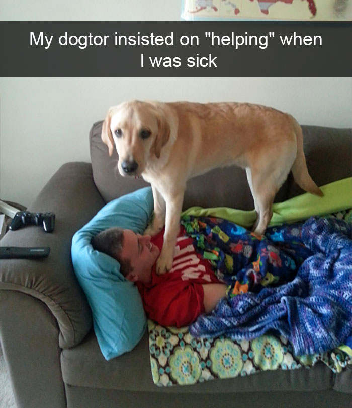 Funny-Dogs-Photos-Snapchats