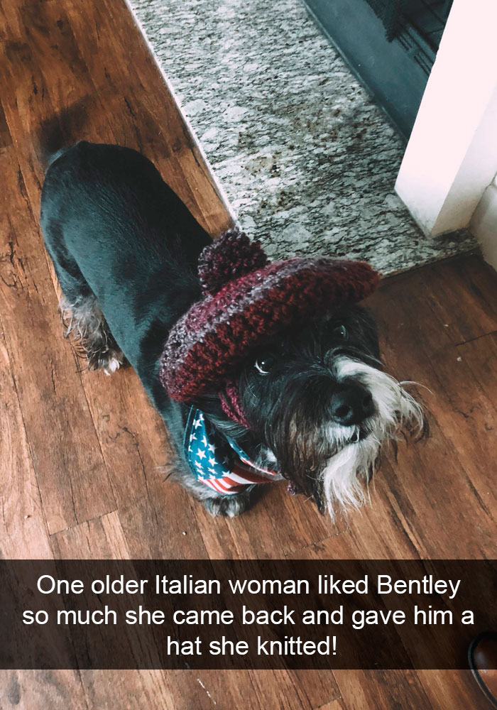 Funny-Dogs-Photos-Snapchats
