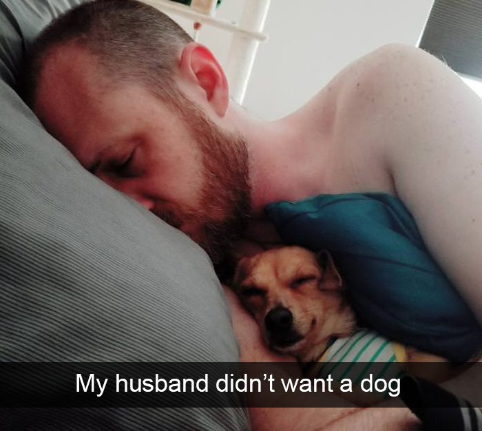Funny-Dogs-Photos-Snapchats