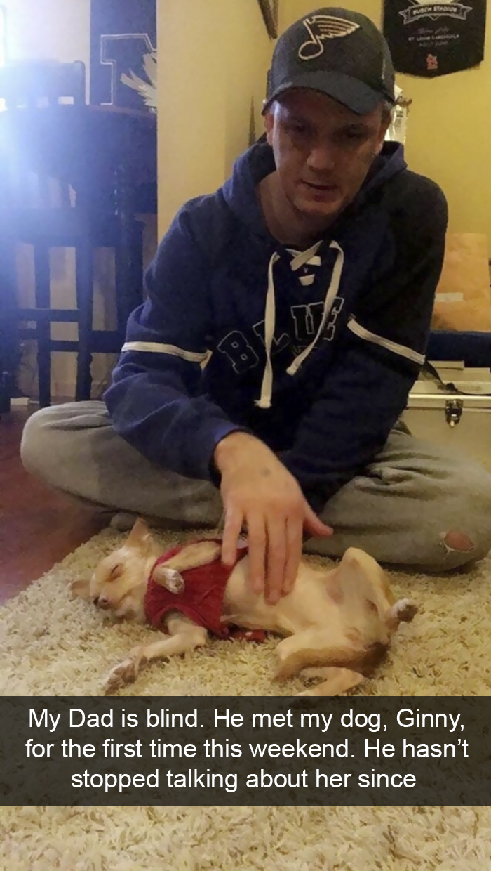 Funny-Dogs-Photos-Snapchats