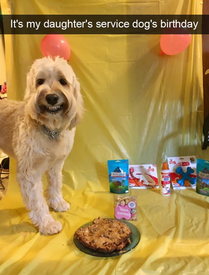 Funny-Dogs-Photos-Snapchats