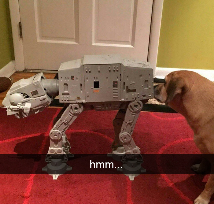 Funny-Dogs-Photos-Snapchats