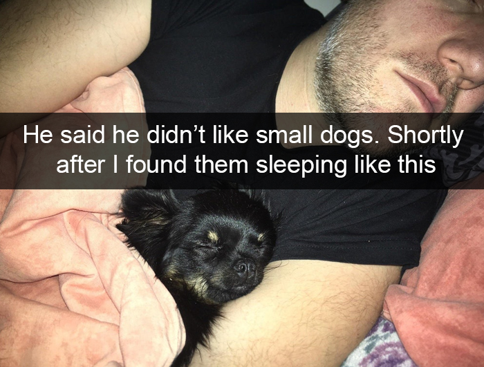 Funny-Dogs-Photos-Snapchats