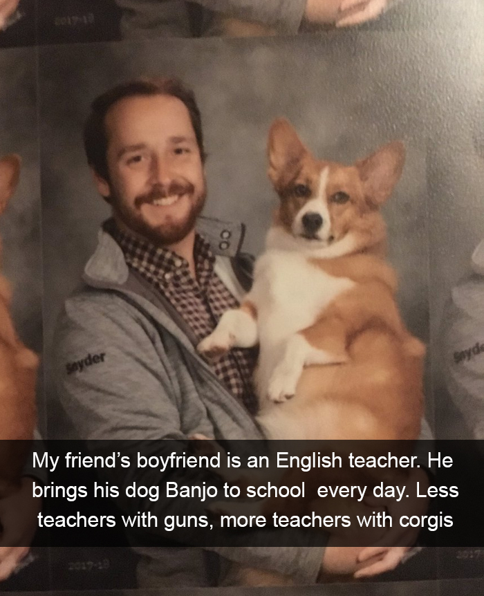 Funny-Dogs-Photos-Snapchats