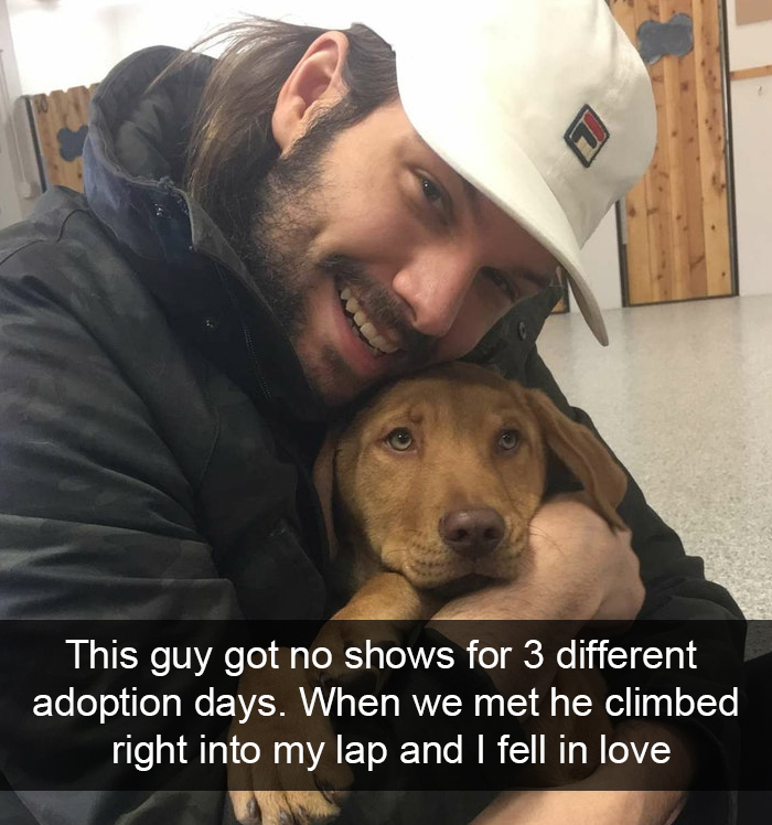 Funny-Dogs-Photos-Snapchats