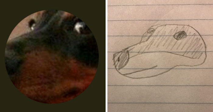 Funny Portraits Caricature