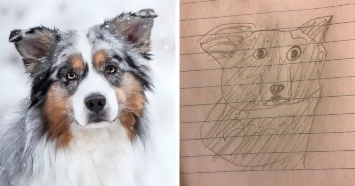 Student Takes Portrait Requests, And The Result Is So Hilariously Bad That People Want More