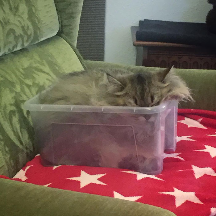 Water Mode Activated