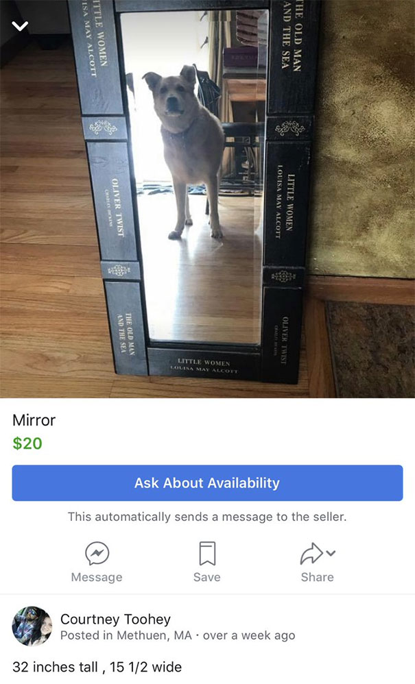 Dog reflected in a framed mirror for sale online.