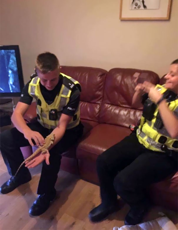 When The Police Rock Up At Your House And They Are More Interested In Your Bearded Dragon Than You