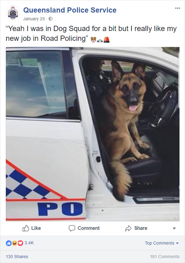 “Yeah I Was In Dog Squad For A Bit But I Really Like My New Job In Road Policing”