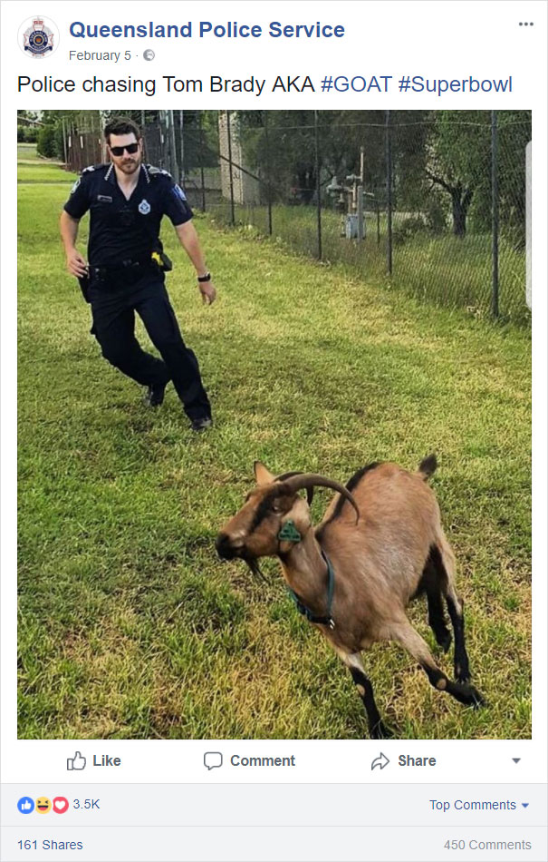 Police Chasing Tom Brady AKA Goat
