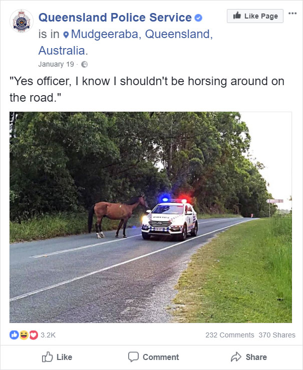 Busted Horse
