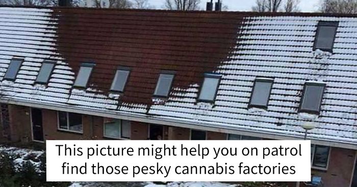 168 Times Police Surprised Everyone With Their Sense Of Humor