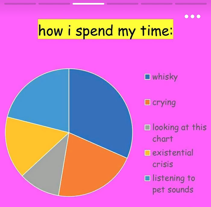 funny-tinder-profile-presentation-savannah-4 funny-tinder-profile-presentation-savannah-4