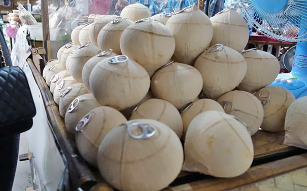 These Coconuts Have Soda Can Pull Tabs