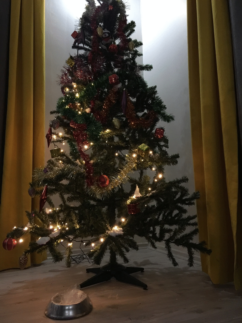 Guy Finds A Dying Kitten With Only One Eye In The Streets, Does Everything He Can To Save Her Life Guy Finds A Dying Kitten With Only One Eye In The Streets, Does Everything He Can To Save Her Life