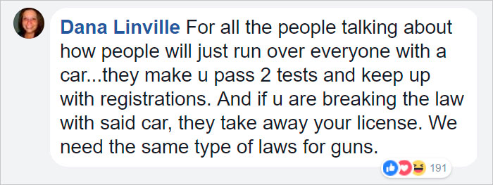 Animator Brilliantly Explains The Gun Control Debate Using Cats Animator Brilliantly Explains The Gun Control Debate Using Cats