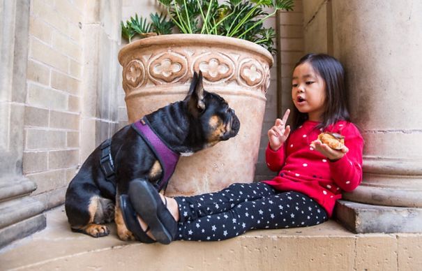 No Doughnut Sharing Today