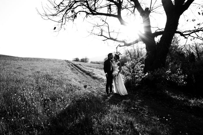 Self Portrait On Our Wedding Day Self Portrait On Our Wedding Day
