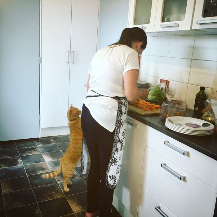 #if He Stands On Tiptoes Maybe He Can Sneak A Piece Of Apricot?!?