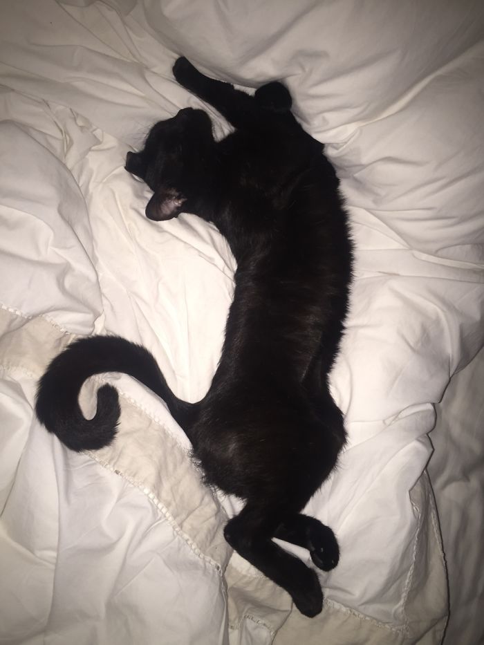 Am I A Painting Or What?