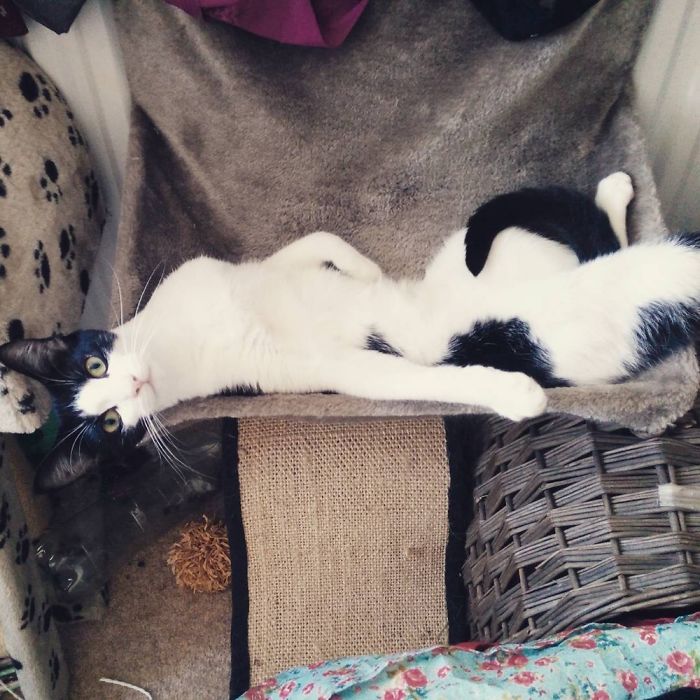 I Want You To Draw Me Like One Of Your French Girls Jack....