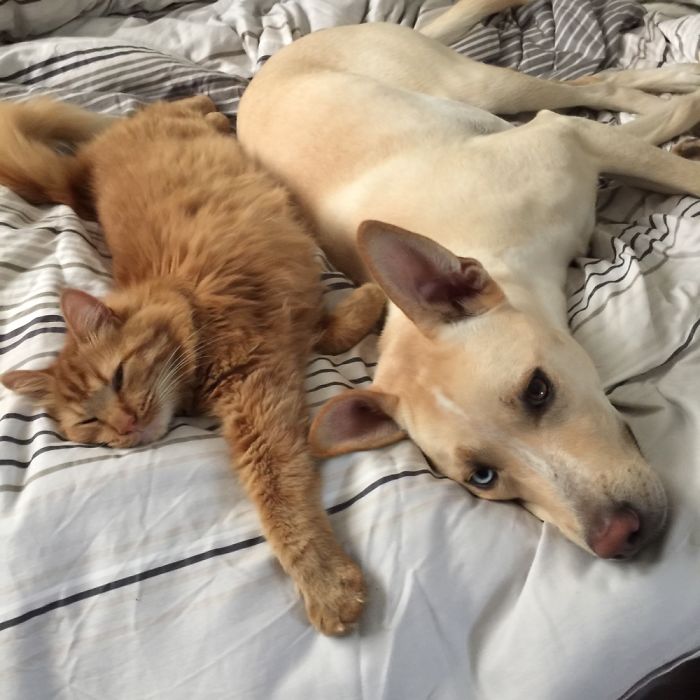 Stretching With A Friend.