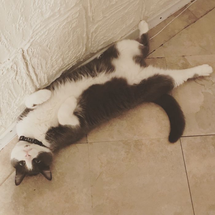 Sherlock At His Finest